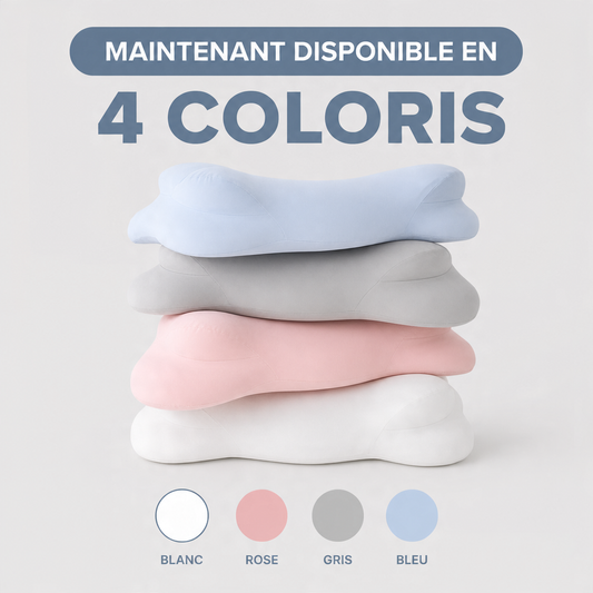Ergodream Replacement Pillowcase